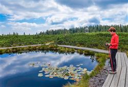 25. Hotel Rogla – Green Holidays