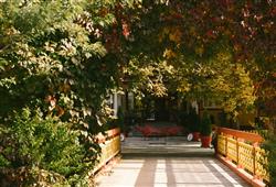 38. Parkhotel Sole Paradiso
