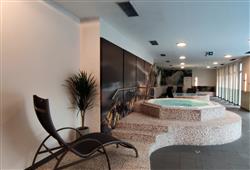 12. AlpenParks Residence Glemmrise (pokoje)