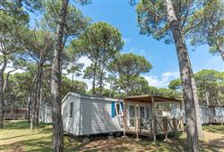 Mobilhome Lodge Maxi