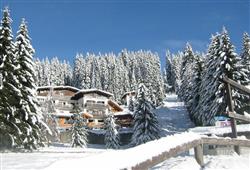 1. Hotel Touring
