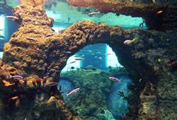 7. ZOO Wroclaw a Afrykarium