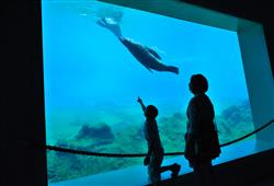 9. ZOO Wroclaw a Afrykarium