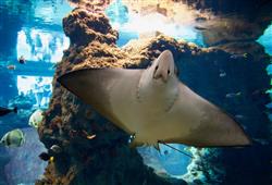 10. ZOO Wroclaw a Afrykarium