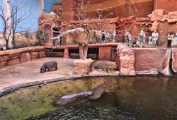 11. ZOO Wroclaw a Afrykarium