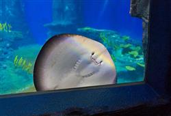 2. ZOO Wroclaw a Afrykarium