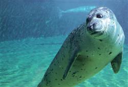 3. ZOO Wroclaw a Afrykarium