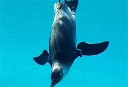 13. ZOO Wroclaw a Afrykarium