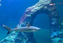 14. ZOO Wroclaw a Afrykarium