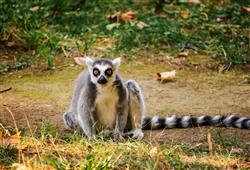 1. ZOO Wroclaw a Afrykarium