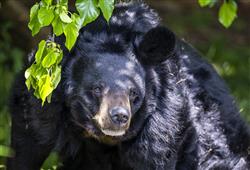 16. ZOO Wroclaw a Afrykarium