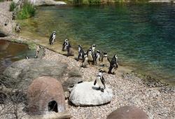17. ZOO Wroclaw a Afrykarium