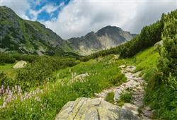Popradské pleso